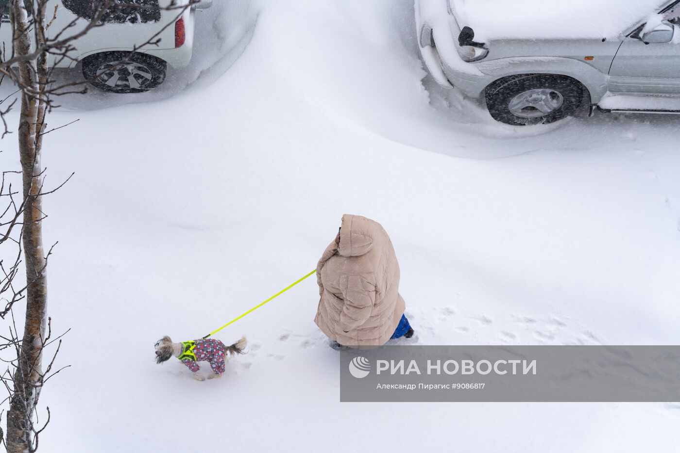 Снегопад в Петропавловске-Камчатском