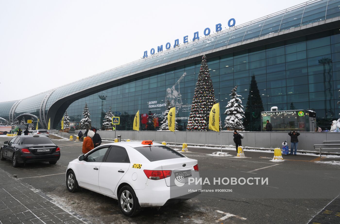 Московский аэропорт Домодедово выставлен на продажу