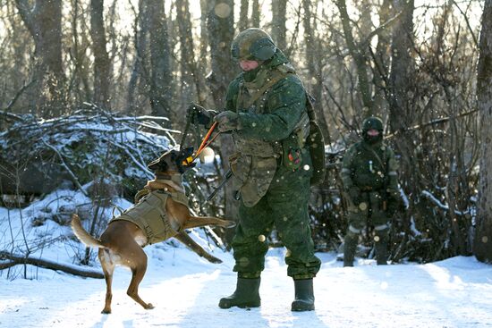 Работа инженерных войск в зоне СВО