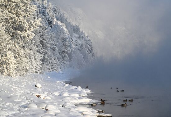 Морозная погода в Красноярском крае