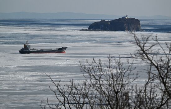 Ледовая обстановка в акватории Владивостока