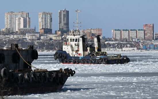 Ледовая обстановка в акватории Владивостока