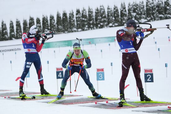 Биатлон. Кубок Содружества. 4 этап. Мужчины. 12,5 км. Гонка преследования