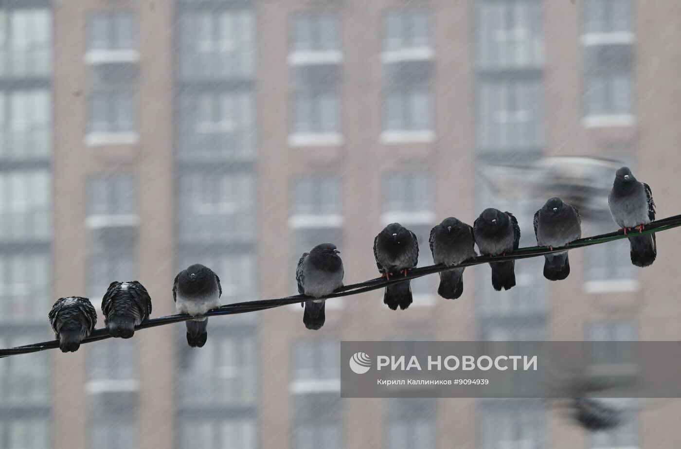 Снег в Москве 