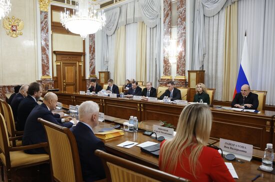 Премьер-министр Михаил Мишустин встретился с представителями фракции "Справедливая Россия"