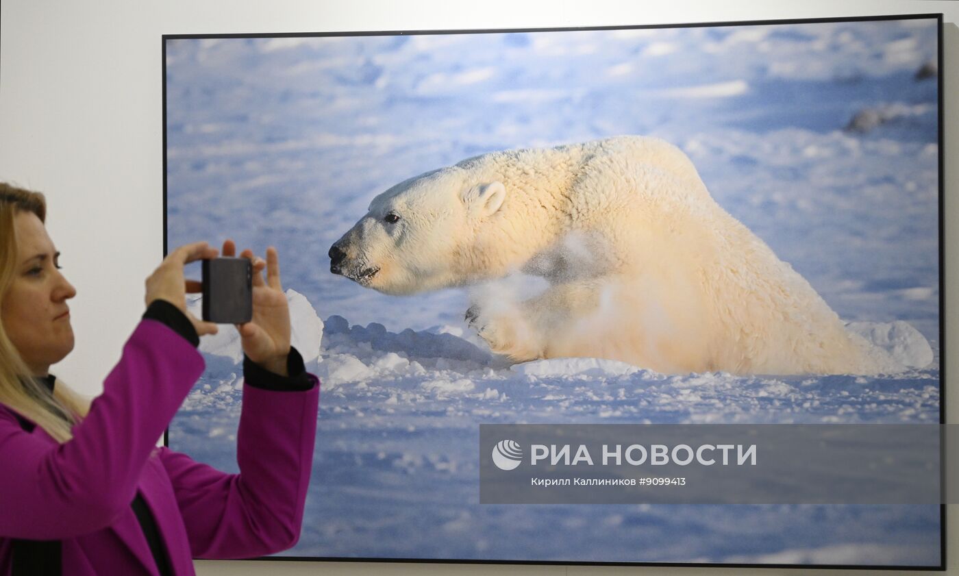 Фестиваль природы "Первозданная Россия" в Москве 