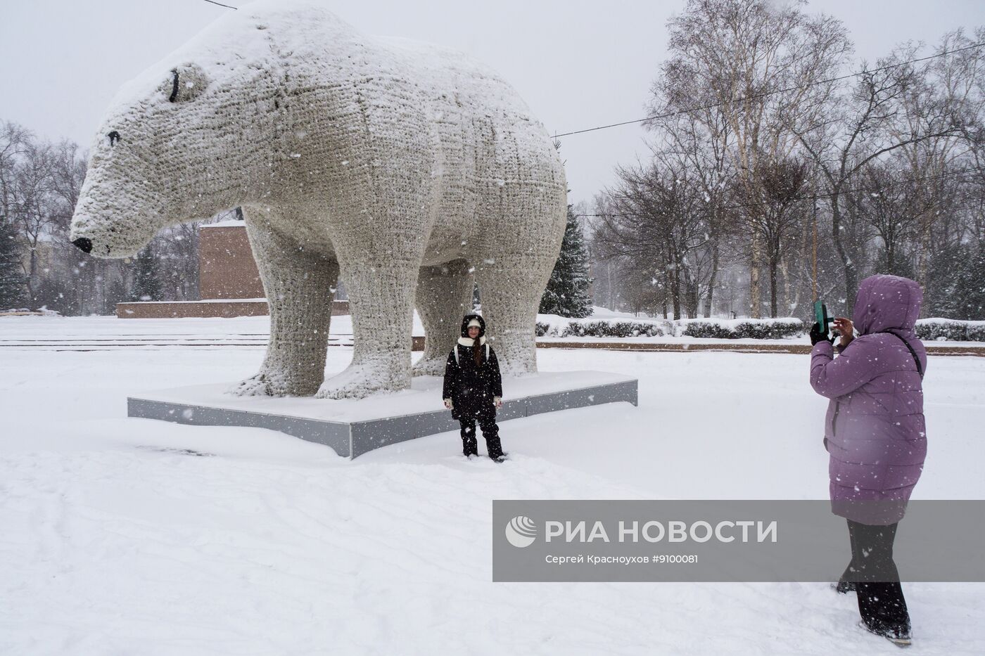 Снегопад в Южно-Сахалинске 