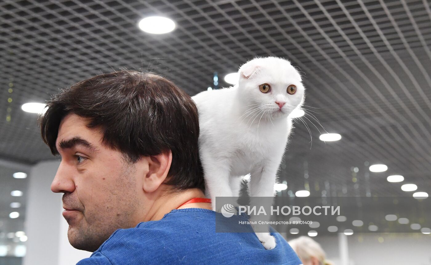 Выставка "КоШарики Шоу" в Москве