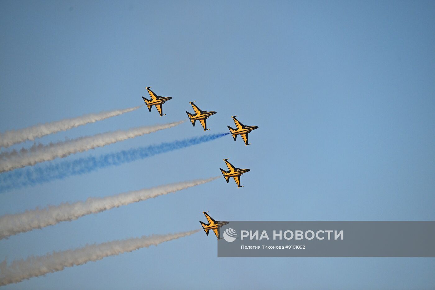 Всемирная оборонная выставка World Defence Show