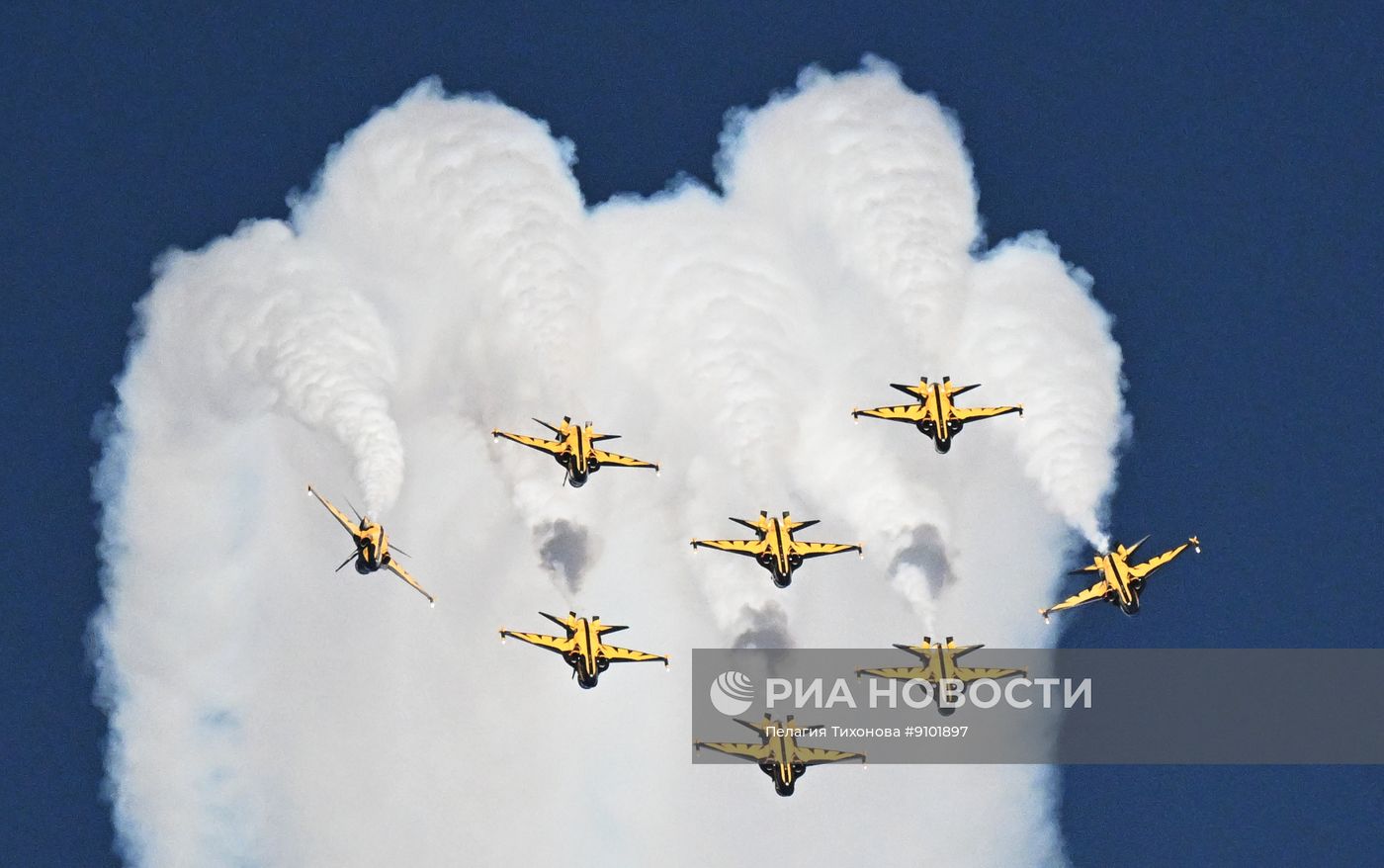 Всемирная оборонная выставка World Defence Show