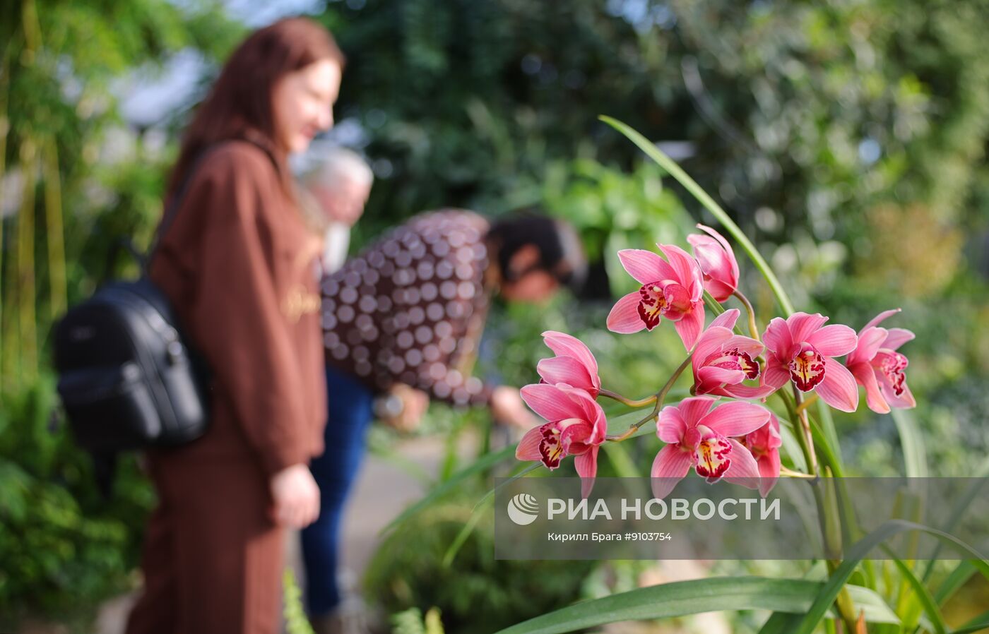 Выставка первоцветов в Волгоградском ботаническом саду 