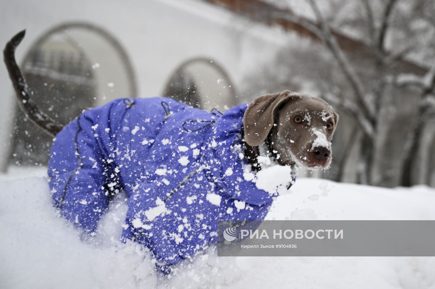 Снег в Москве