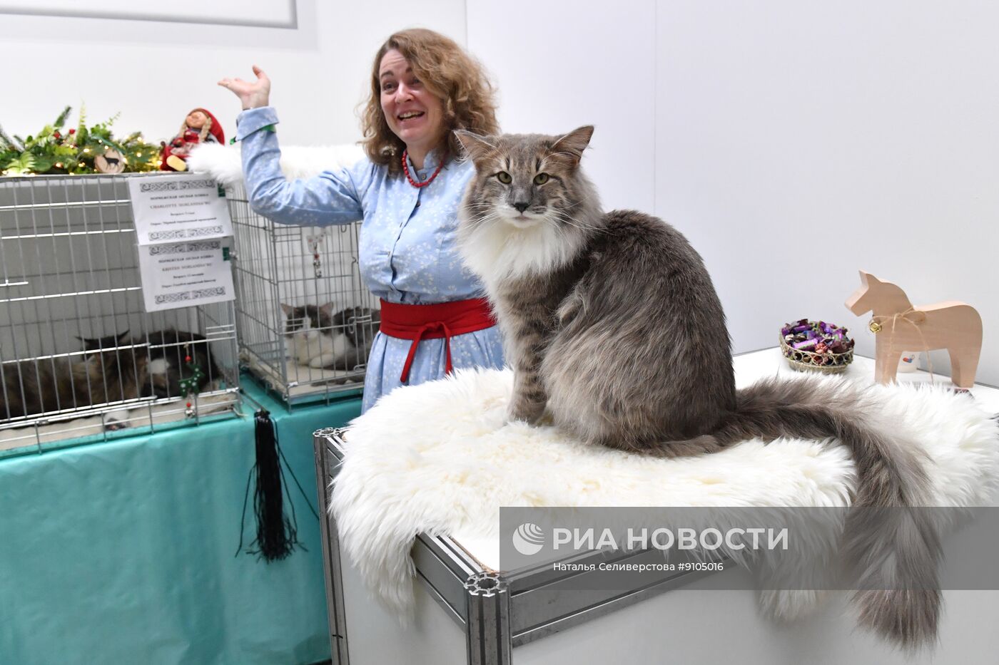 Выставка лучших собак и кошек России "Золотая лапа"