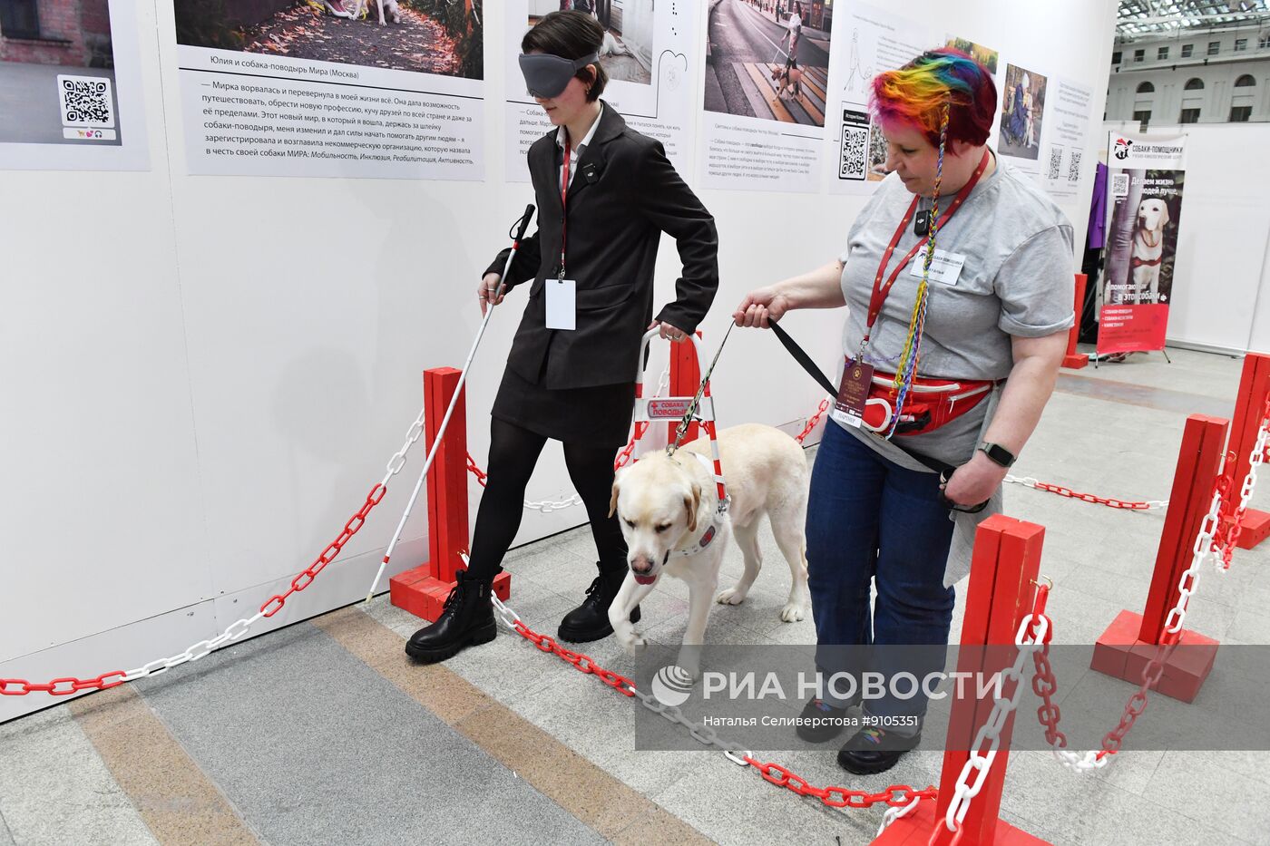 Выставка лучших собак и кошек России "Золотая лапа"