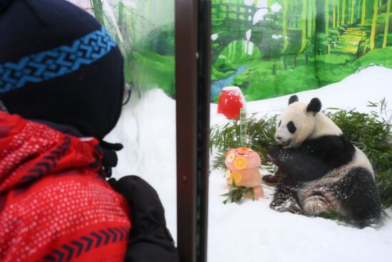 Празднование Китайского Нового года в Московском зоопарке