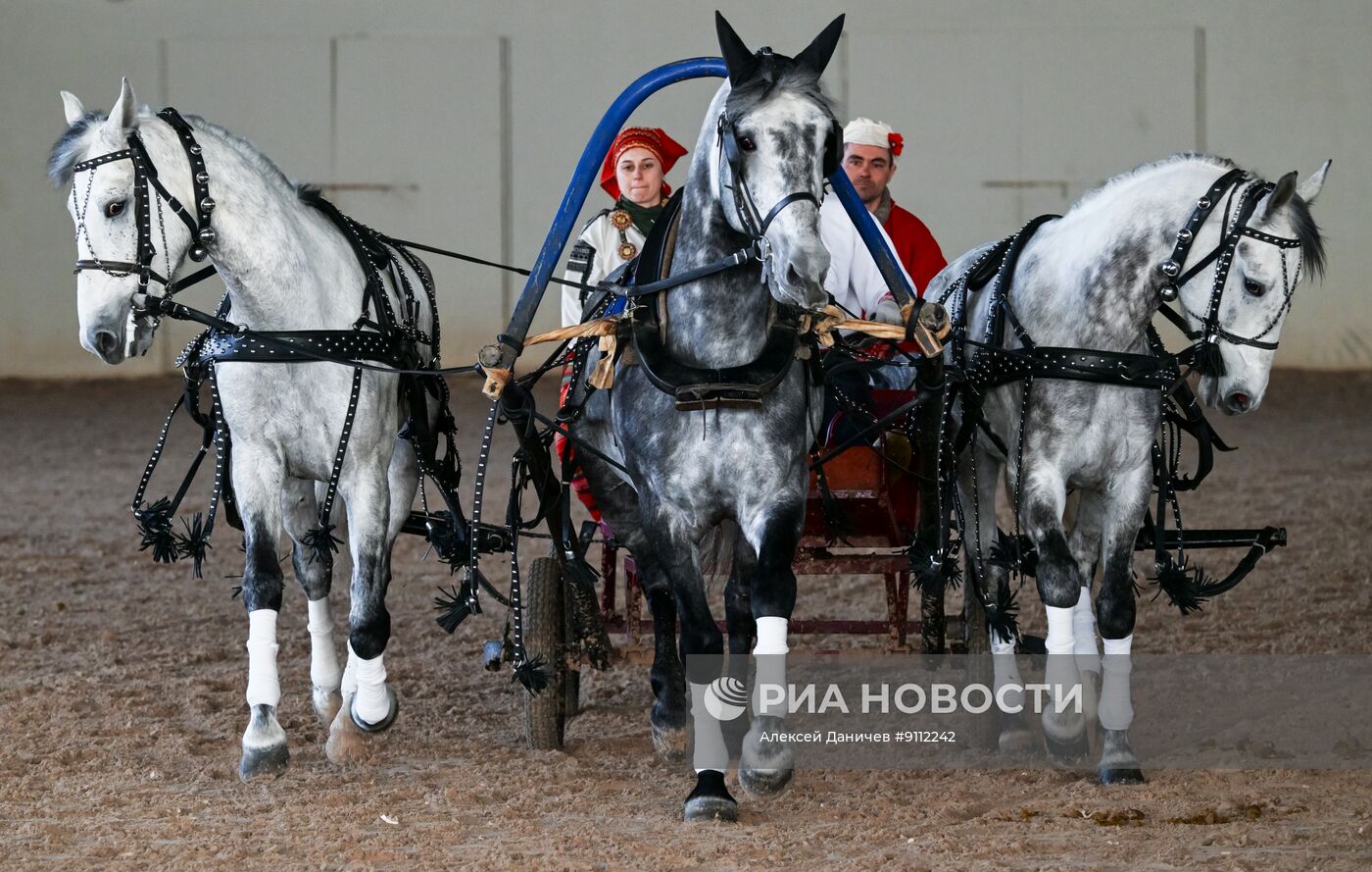 Фестиваль "Русская тройка" в Ленинградской области