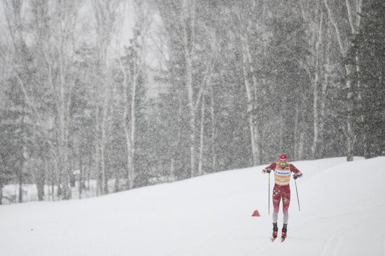 Лыжные гонки. Чемпионат России. Командный спринт. Мужчины 