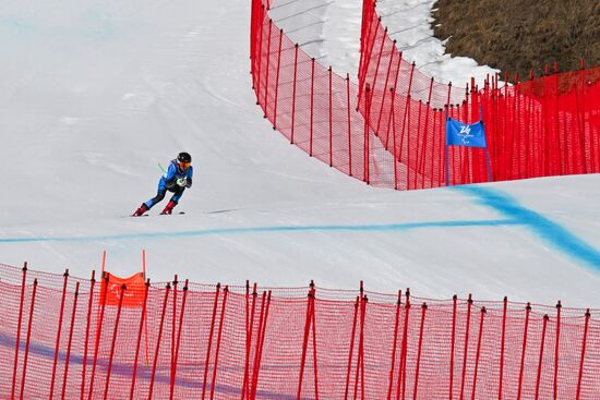 Паралимпиада-2026. Горные лыжи. Женщины. Супергигант