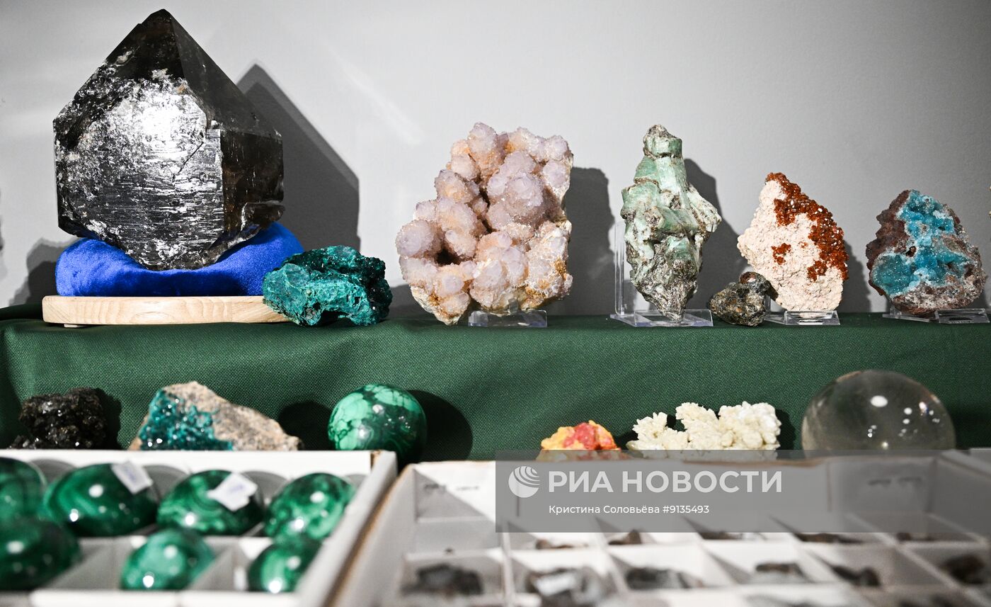 IX Всероссийский съезд геологов