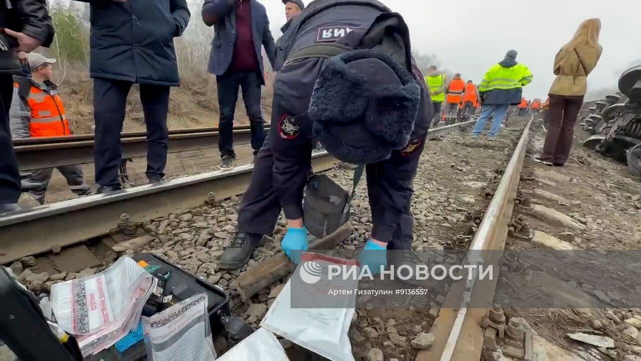 Пассажирский поезд сошел с рельсов в Ульяновской области