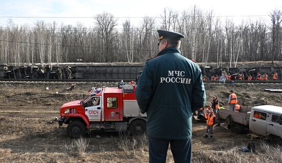 Пассажирский поезд сошел с рельсов в Ульяновской области 
