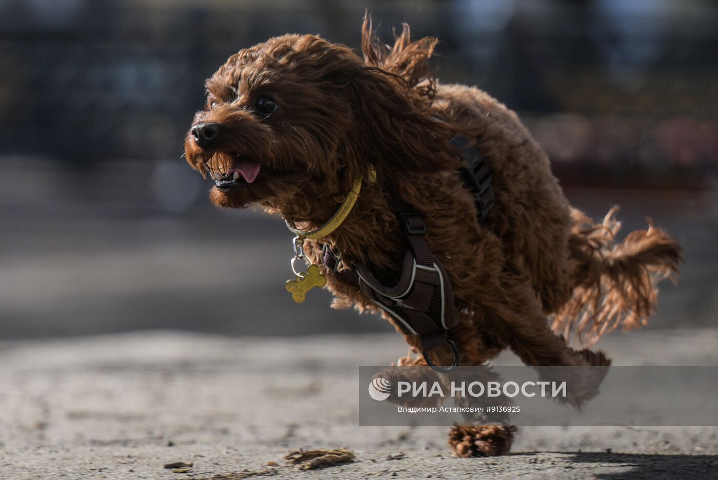 Повседневная жизнь в Москве