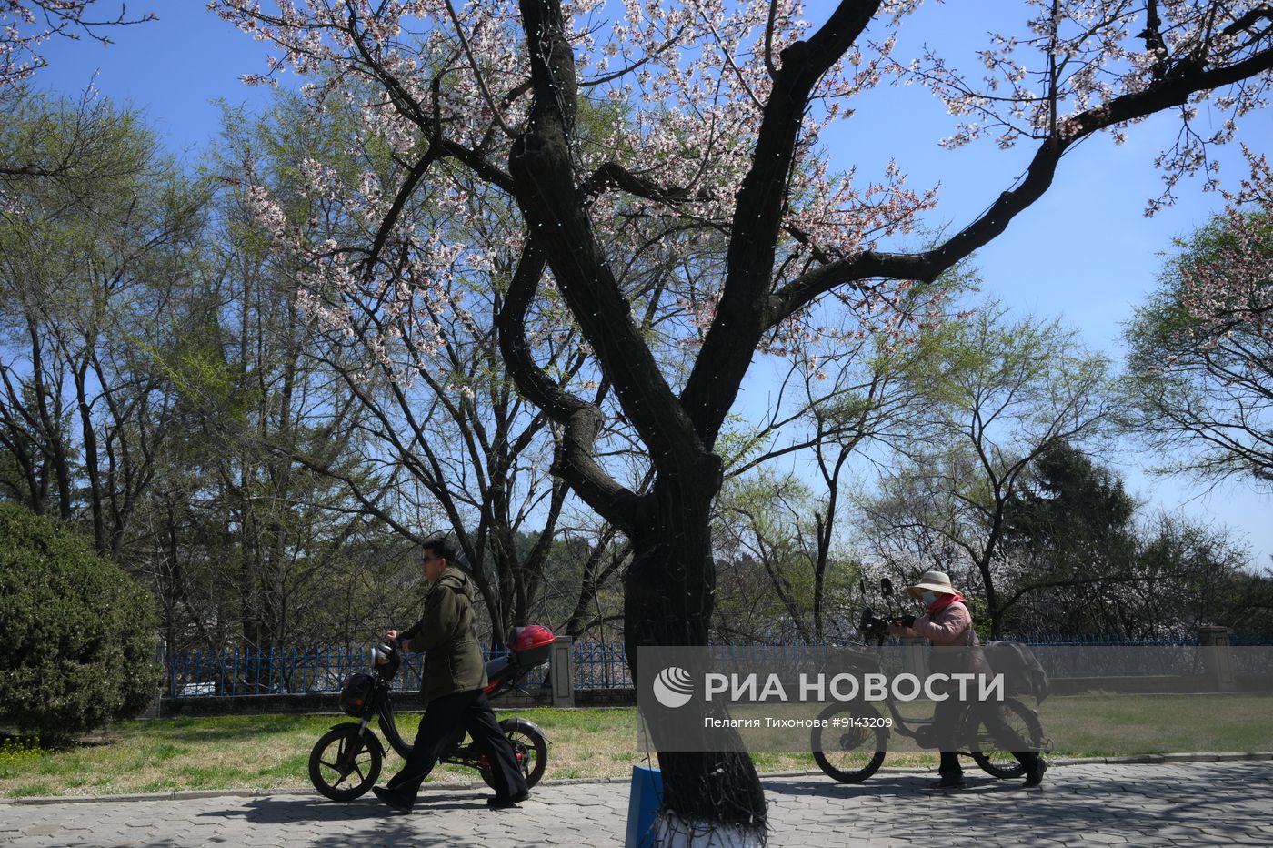 Города мира. Пхеньян