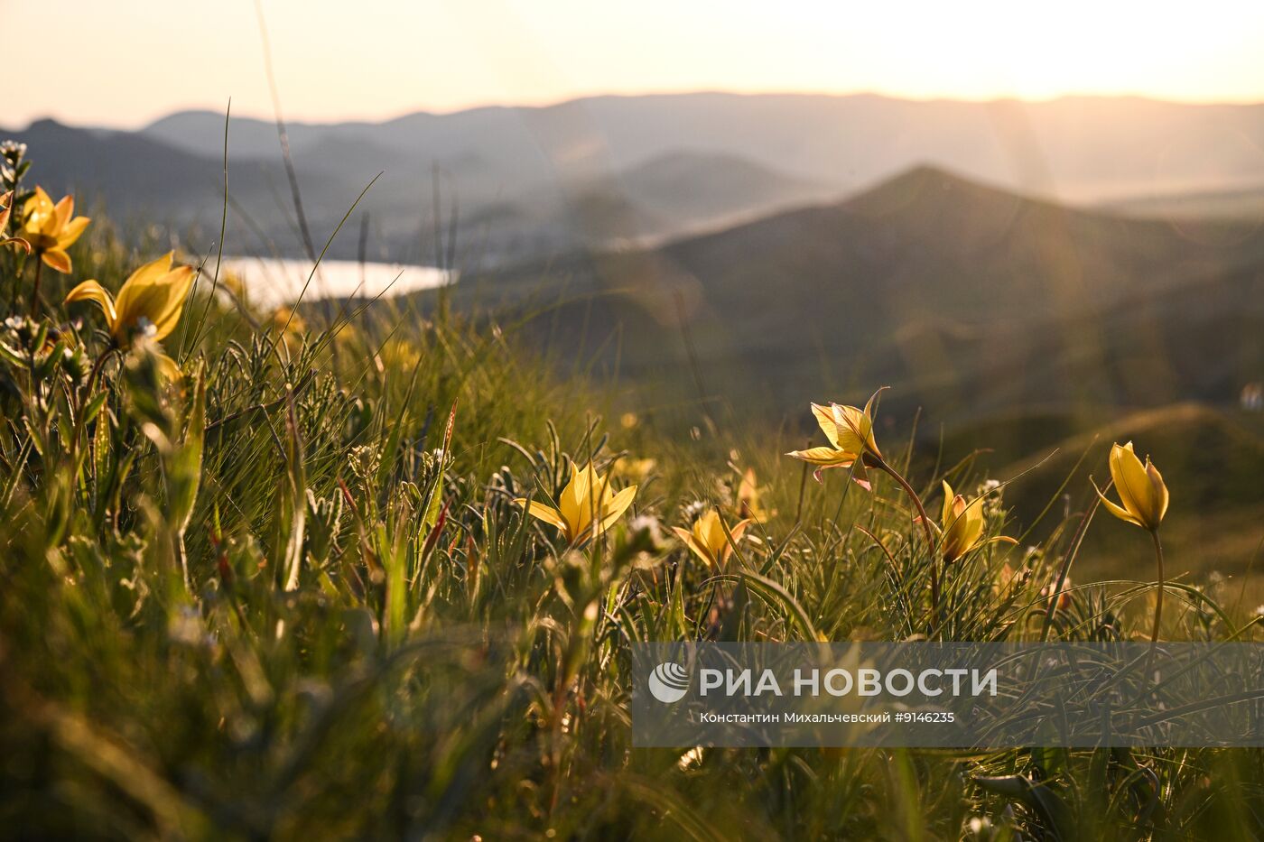 Весна в Крыму 