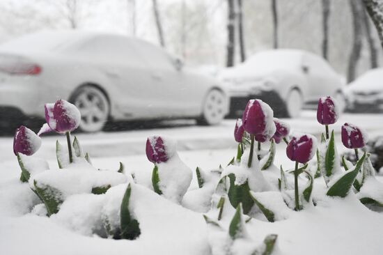 Снег в Москве 