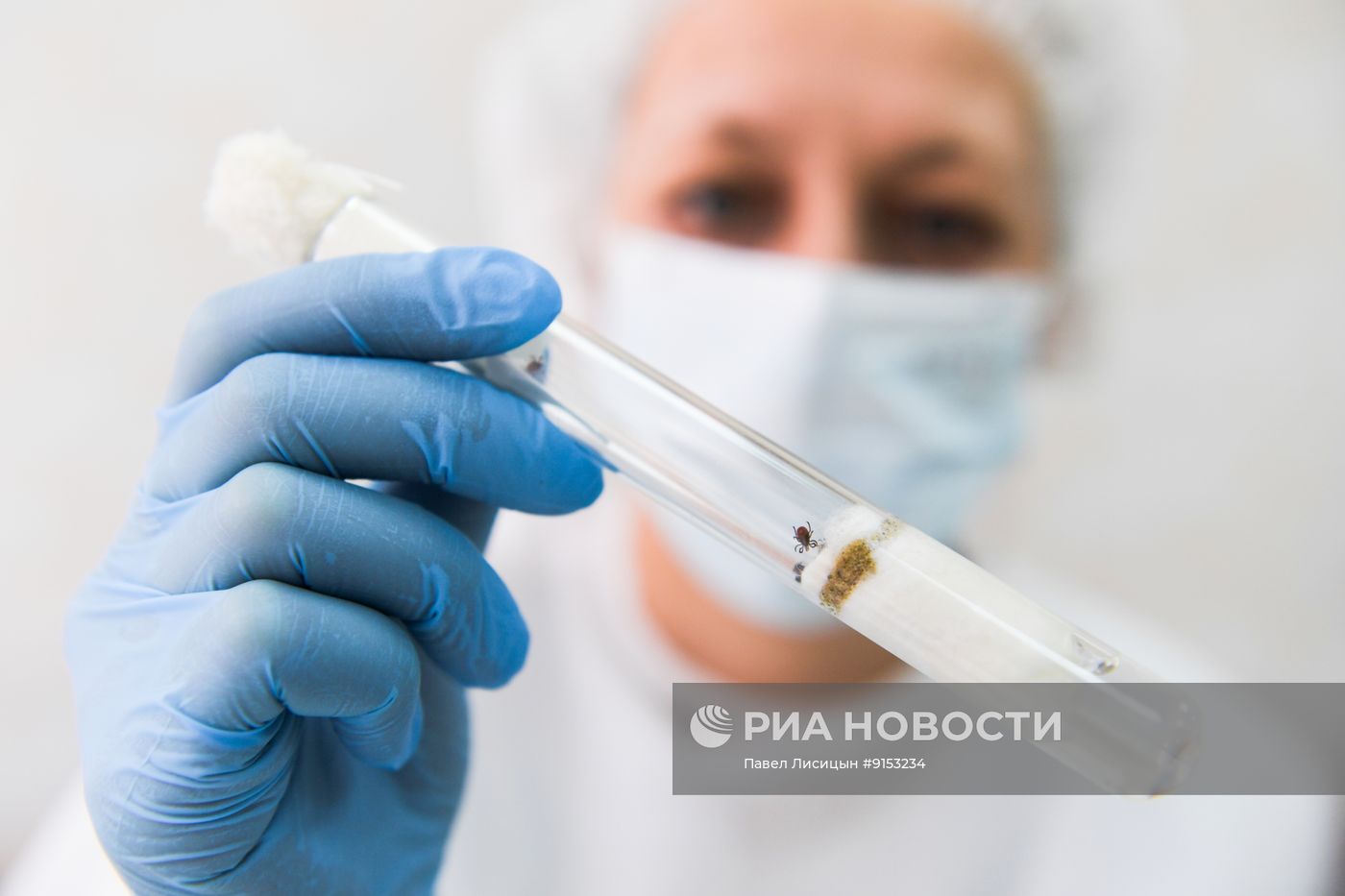 Исследование клещей на наличие энцефалита в Екатеринбурге 