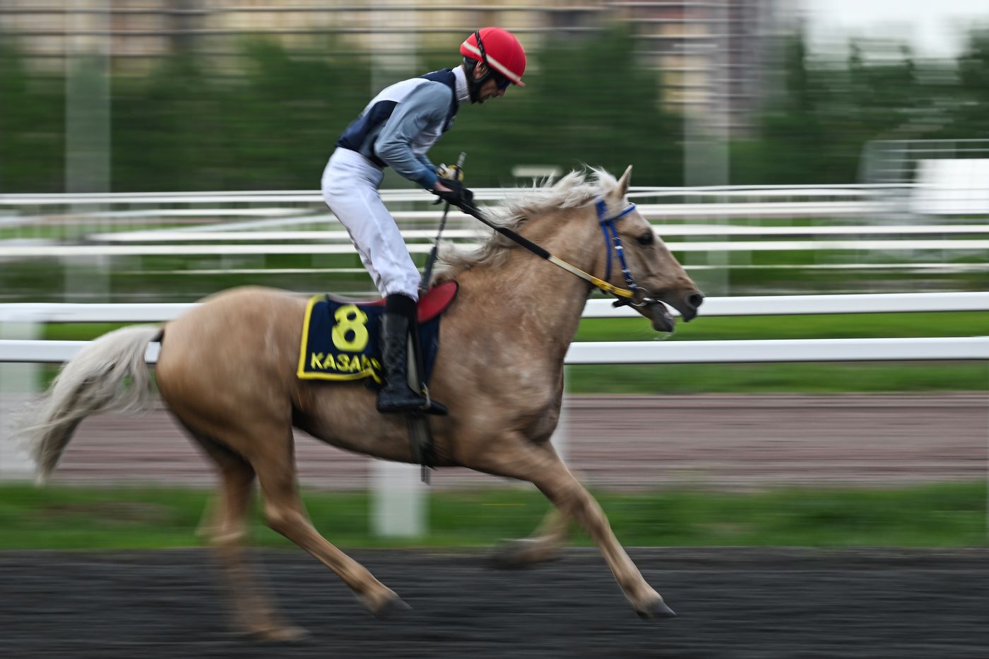 КАЗАНЬФОРУМ 2026. Конные скачки "Бизнес на коне" и Чемпионат жокеев