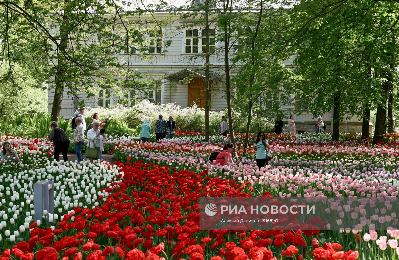 Фестиваль тюльпанов в Санкт-Петербурге