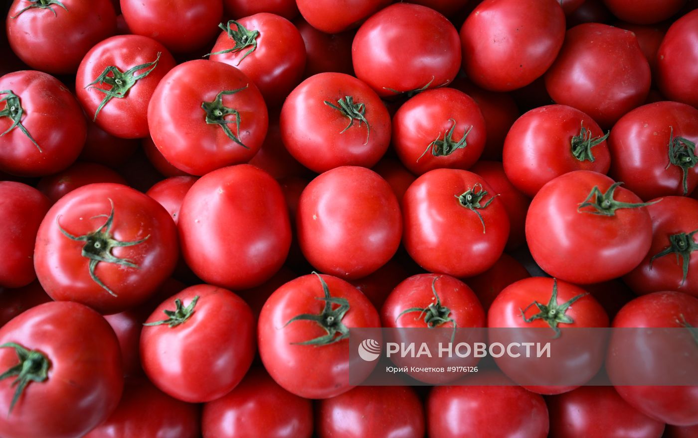 Продажа овощей и фруктов на российских рынках
