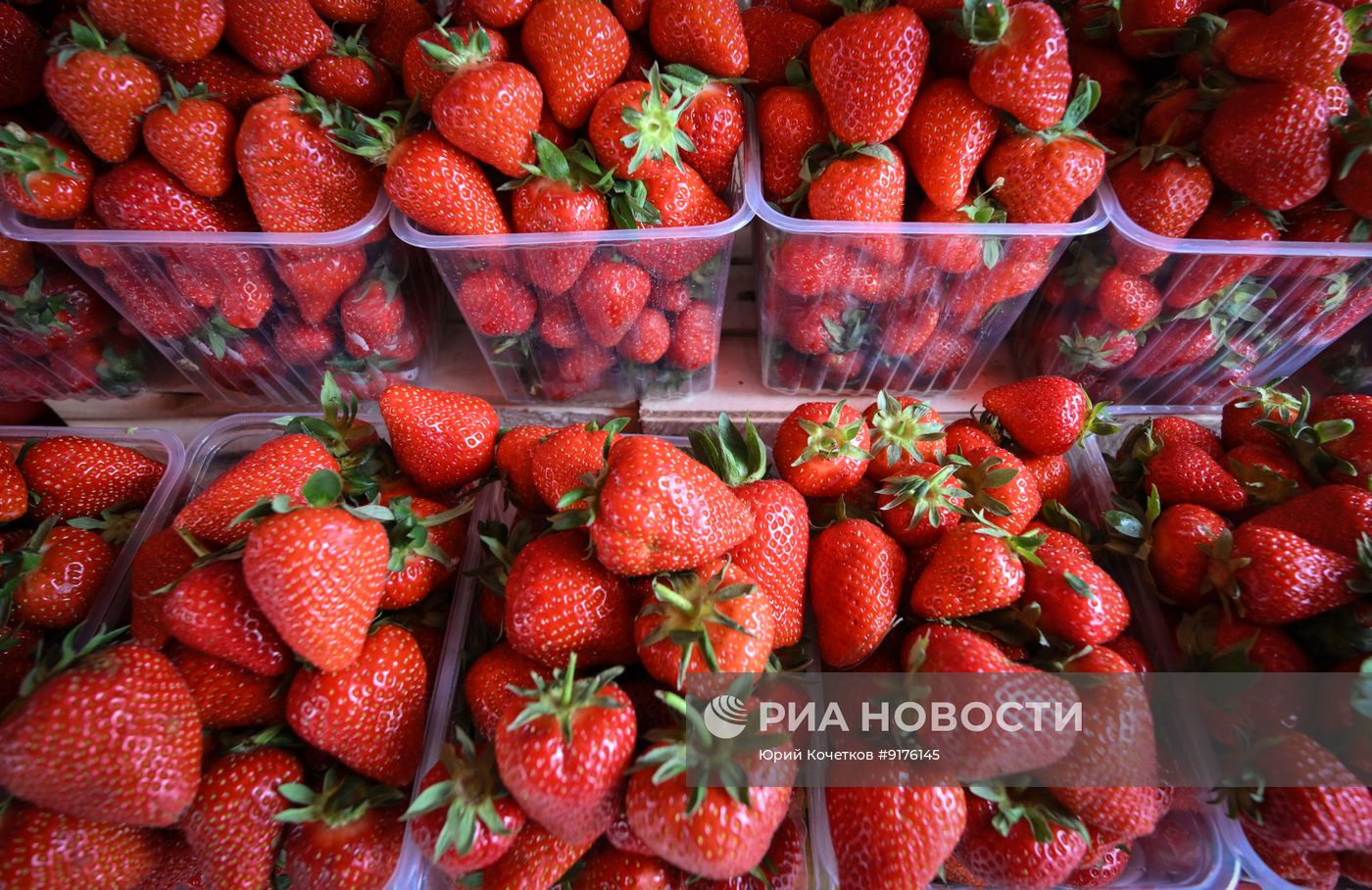Продажа овощей и фруктов на российских рынках