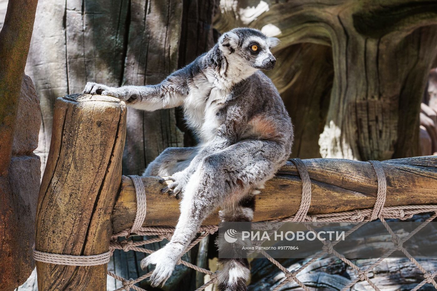 Пекинский сафари-парк
