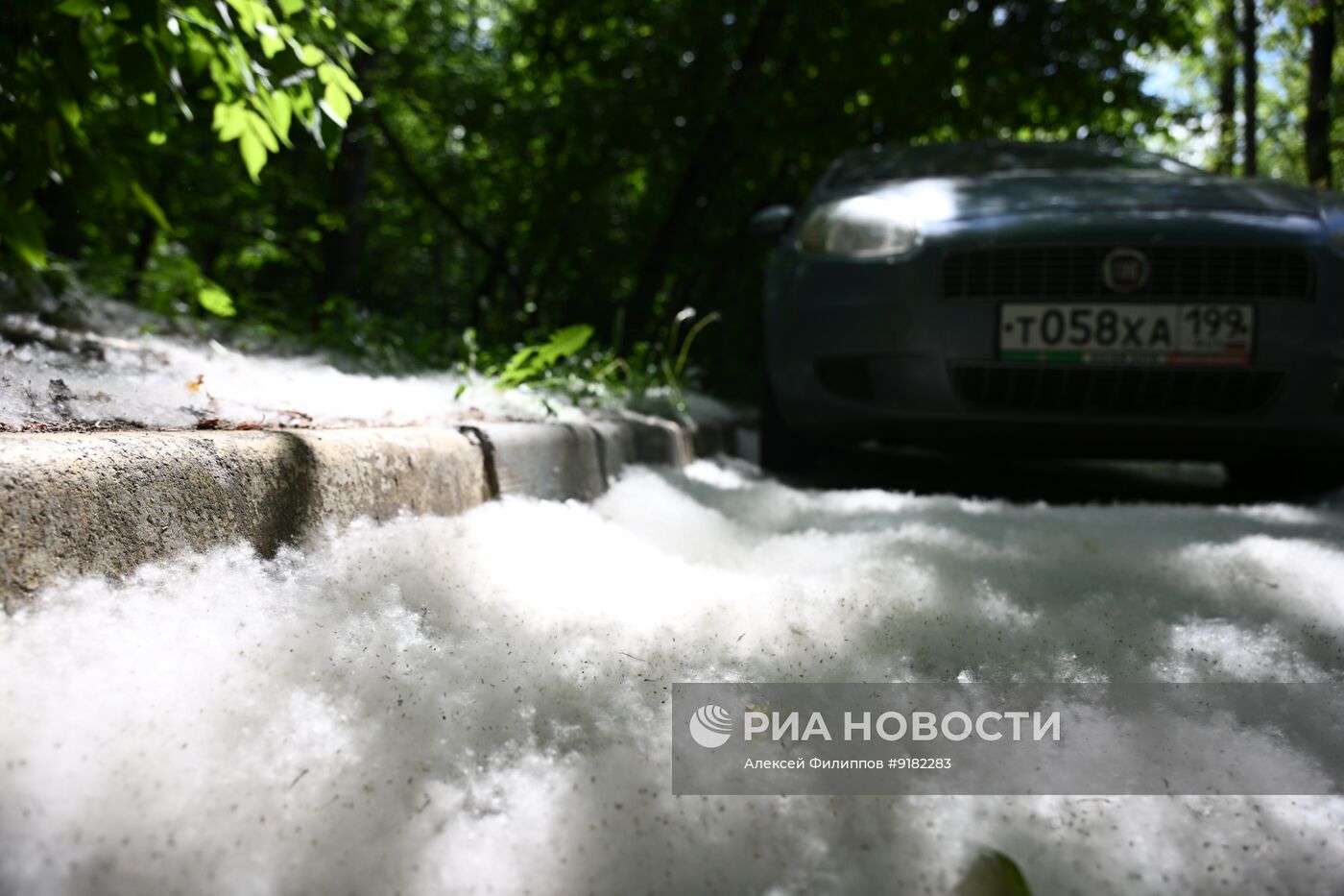 Тополиный пух в Москве
