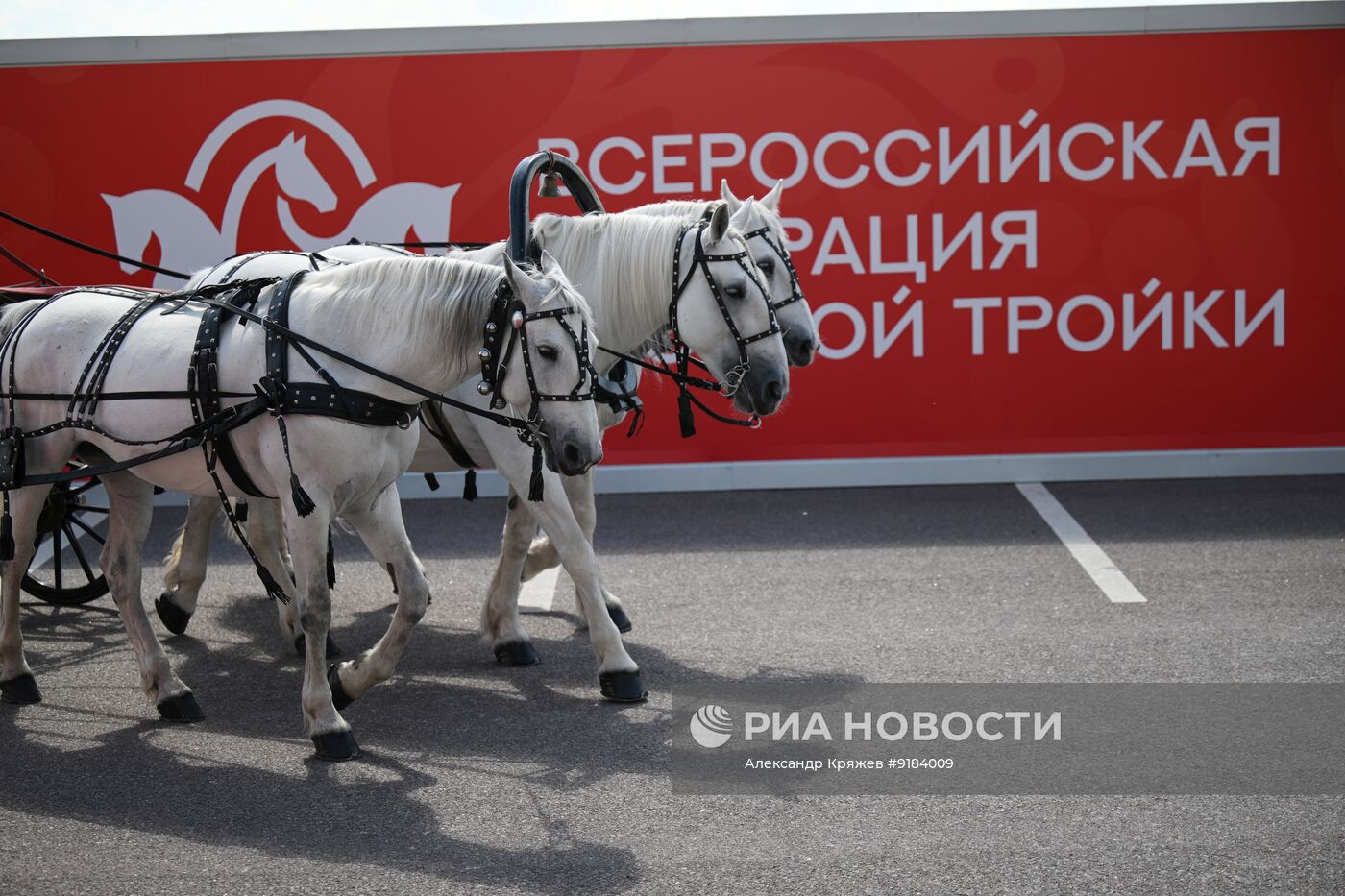 ПМЭФ-2026. Катание на русской тройке