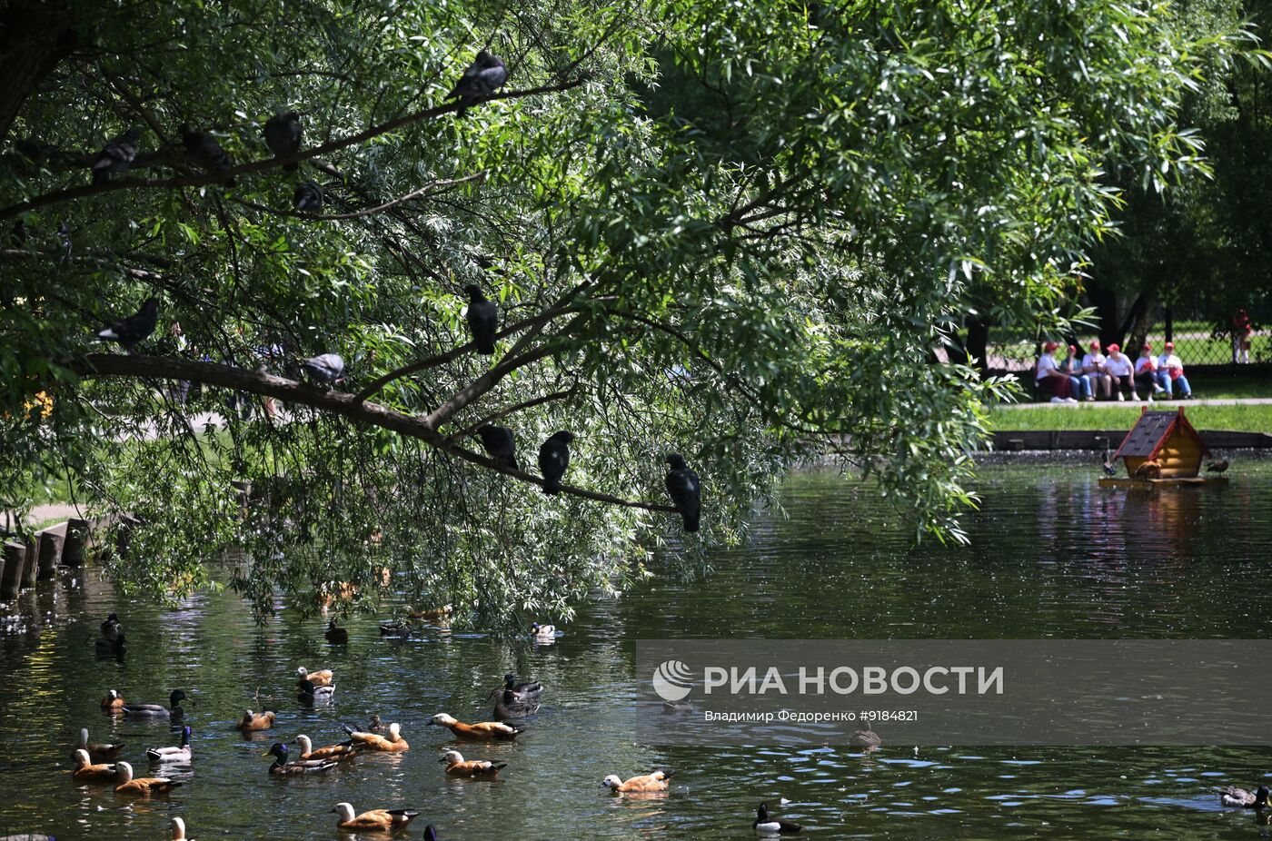 Лето в Москве