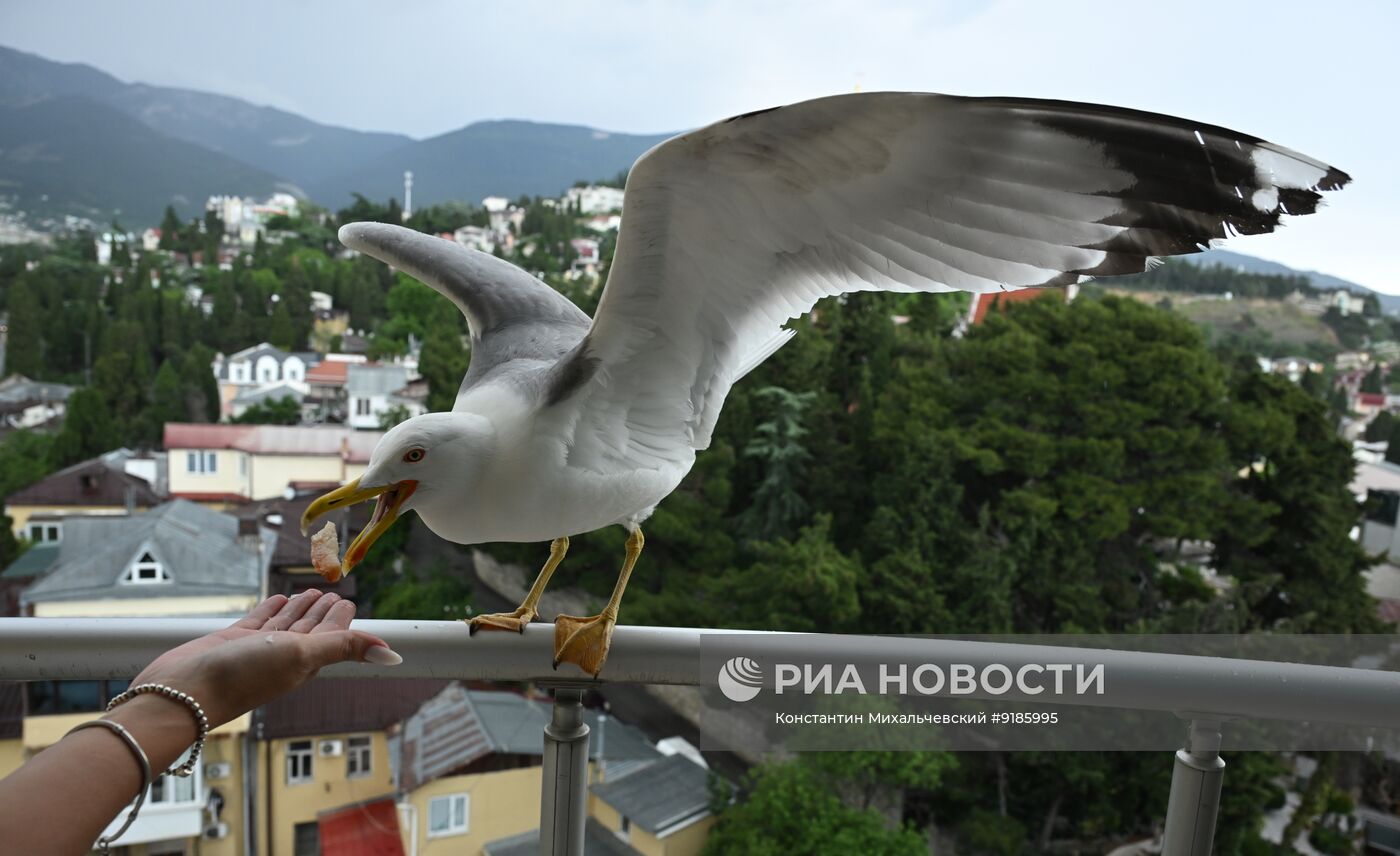 Отдых в Ялте