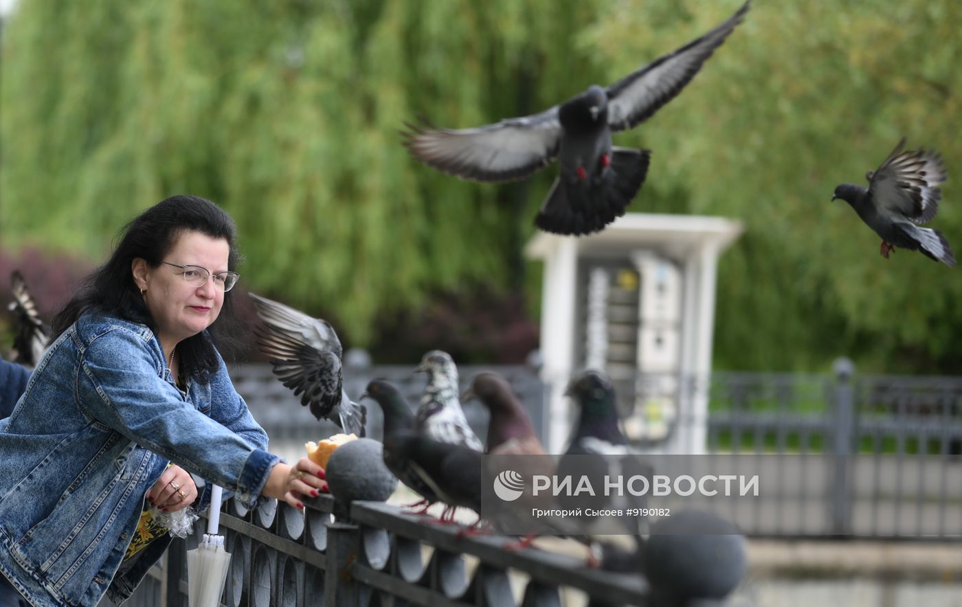Повседневная жизнь в Москве и Подмосковье