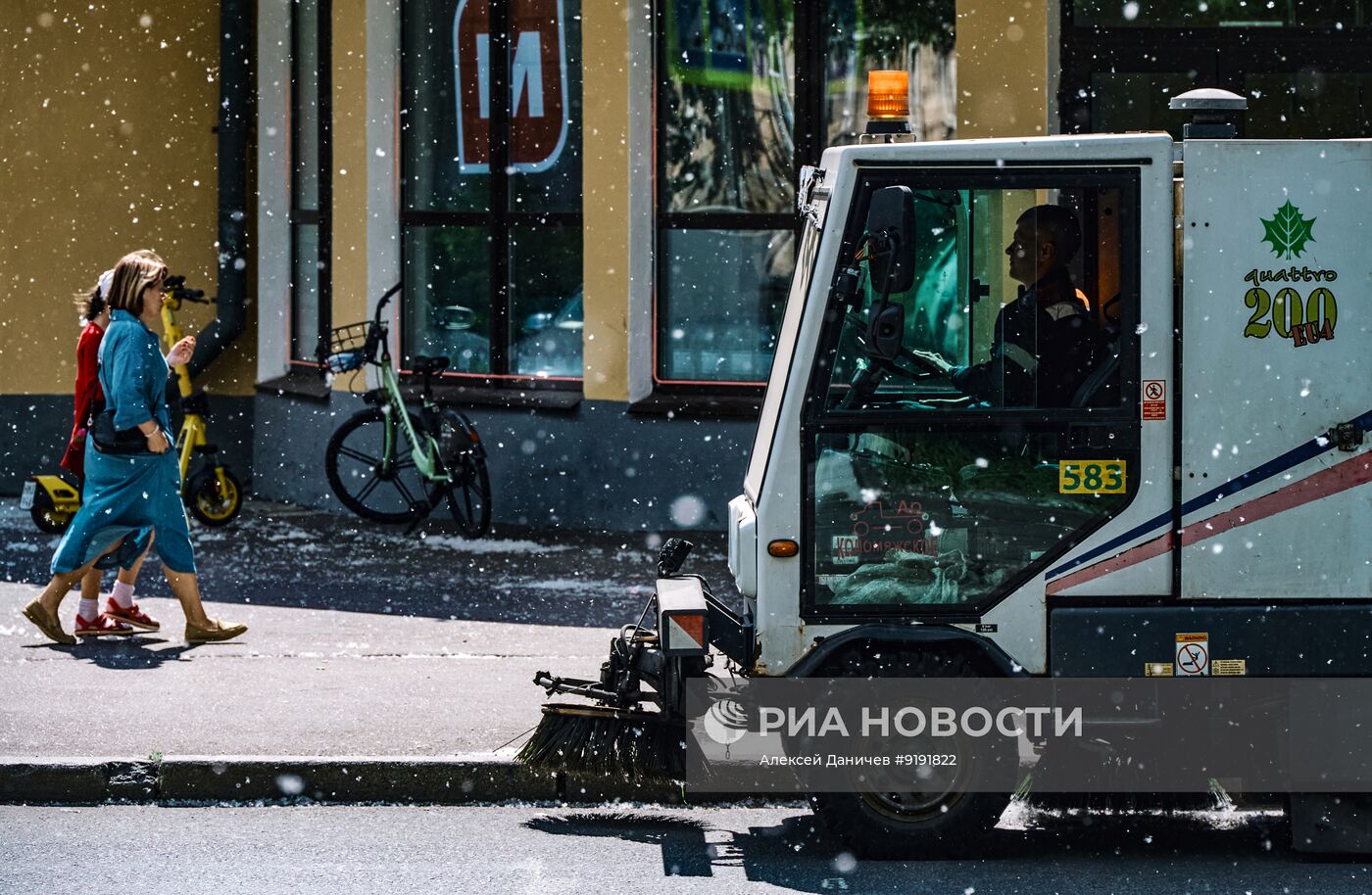 Тополиный пух в Санкт-Петербурге