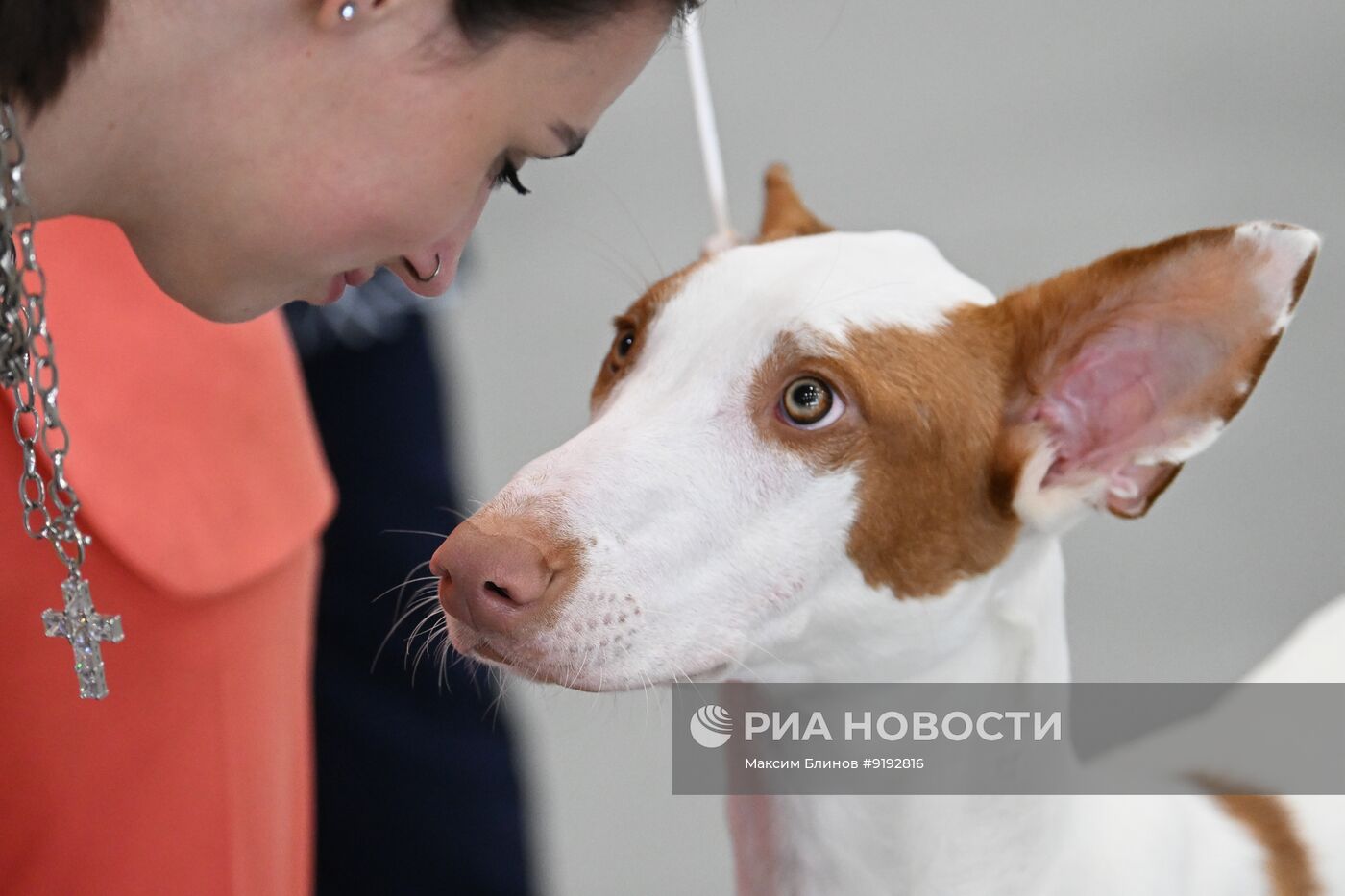 Выставка собак всех пород "Россия 2026"