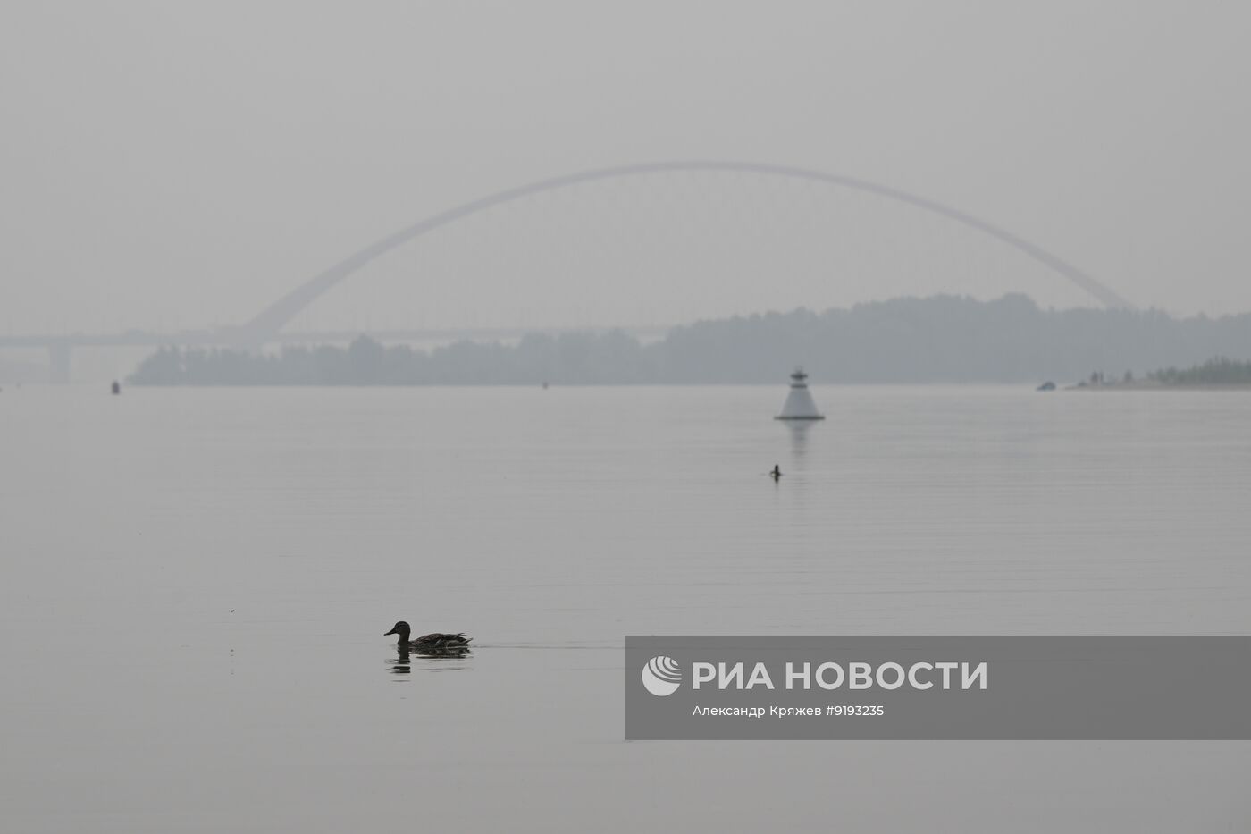 Дым от лесных пожаров накрыл Новосибирск
