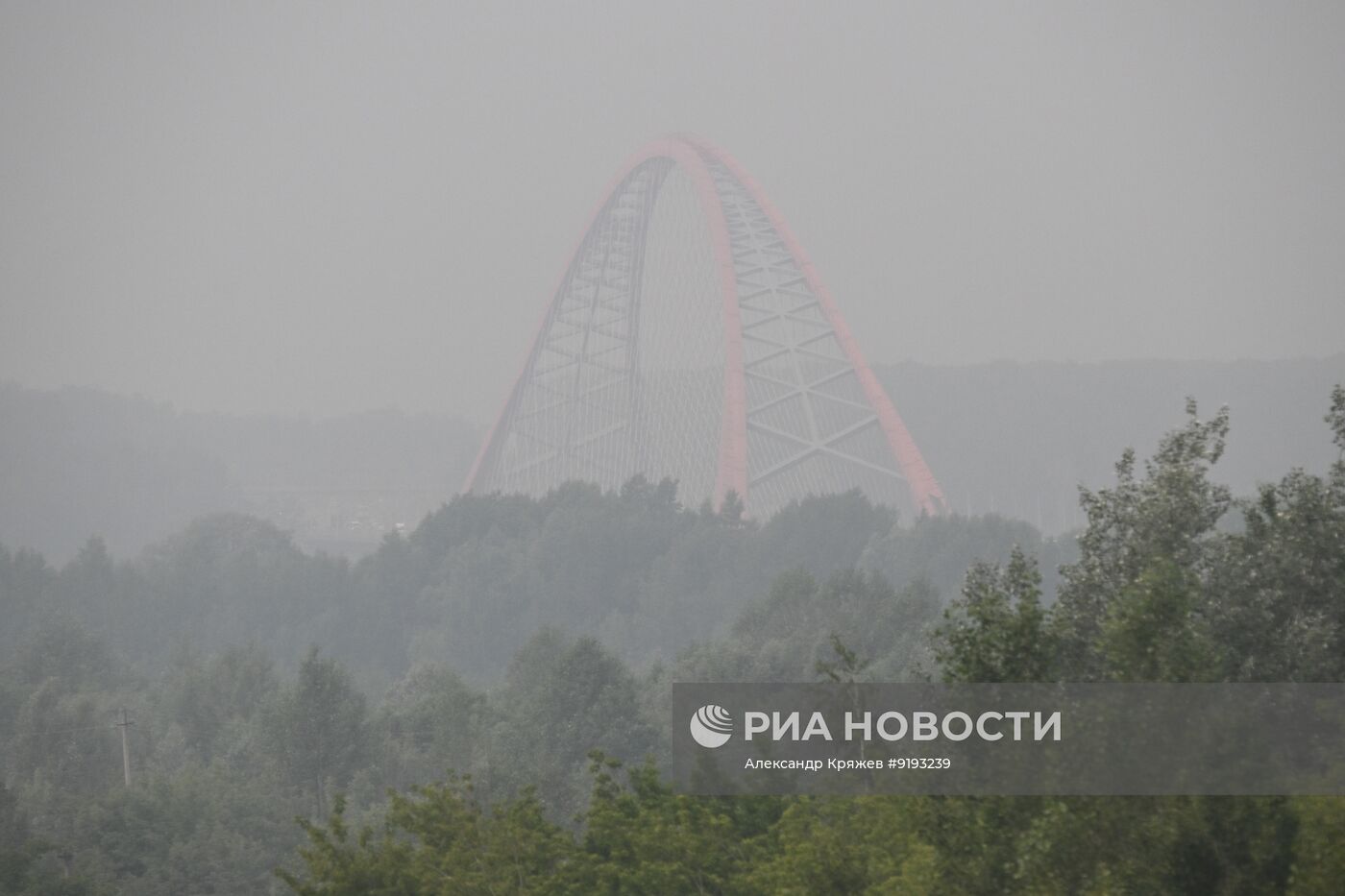 Дым от лесных пожаров накрыл Новосибирск
