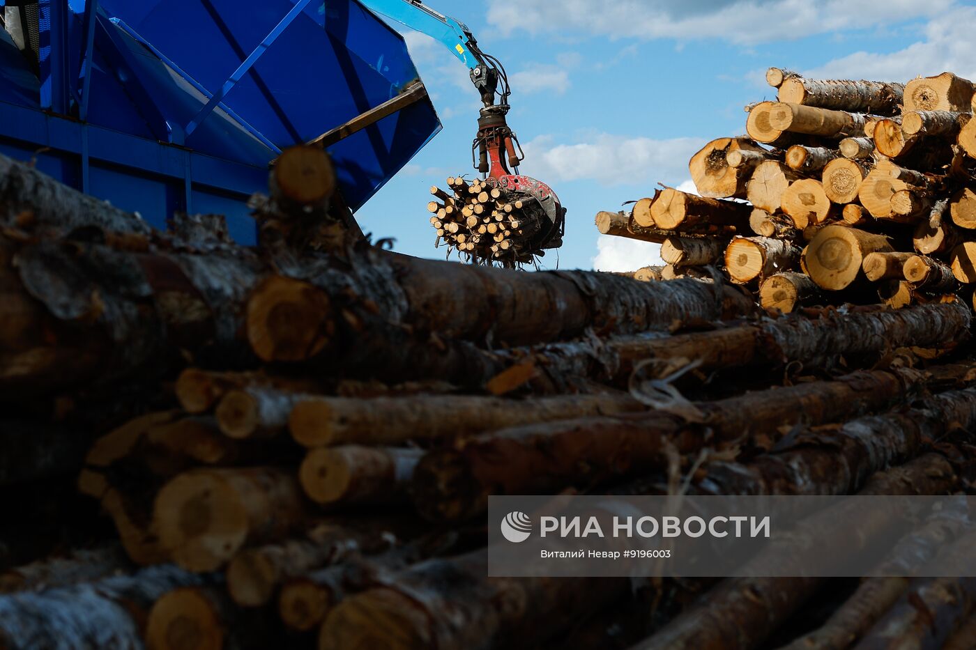 Работа Архангельского целлюлозно-бумажного комбината
