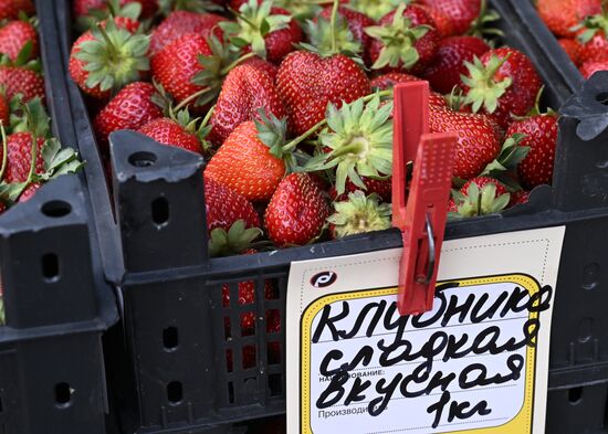 Продажа фруктов и ягод в Москве