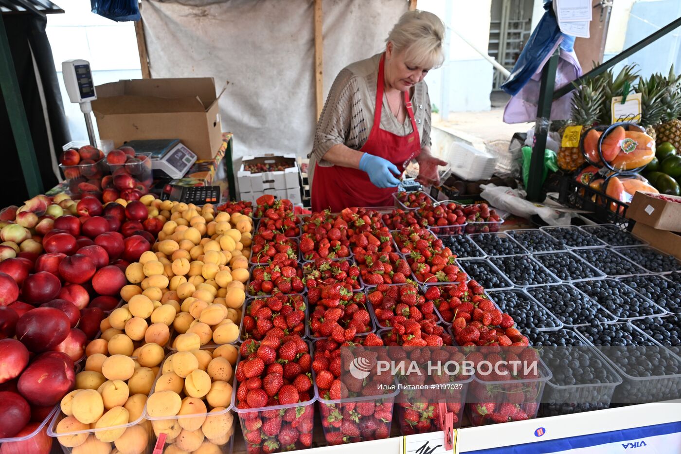 Продажа фруктов и ягод в Москве