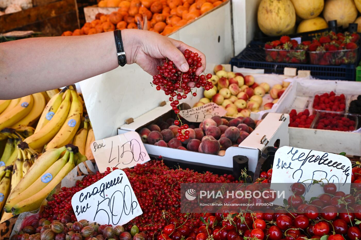Продовольственный рынок в Симферополе