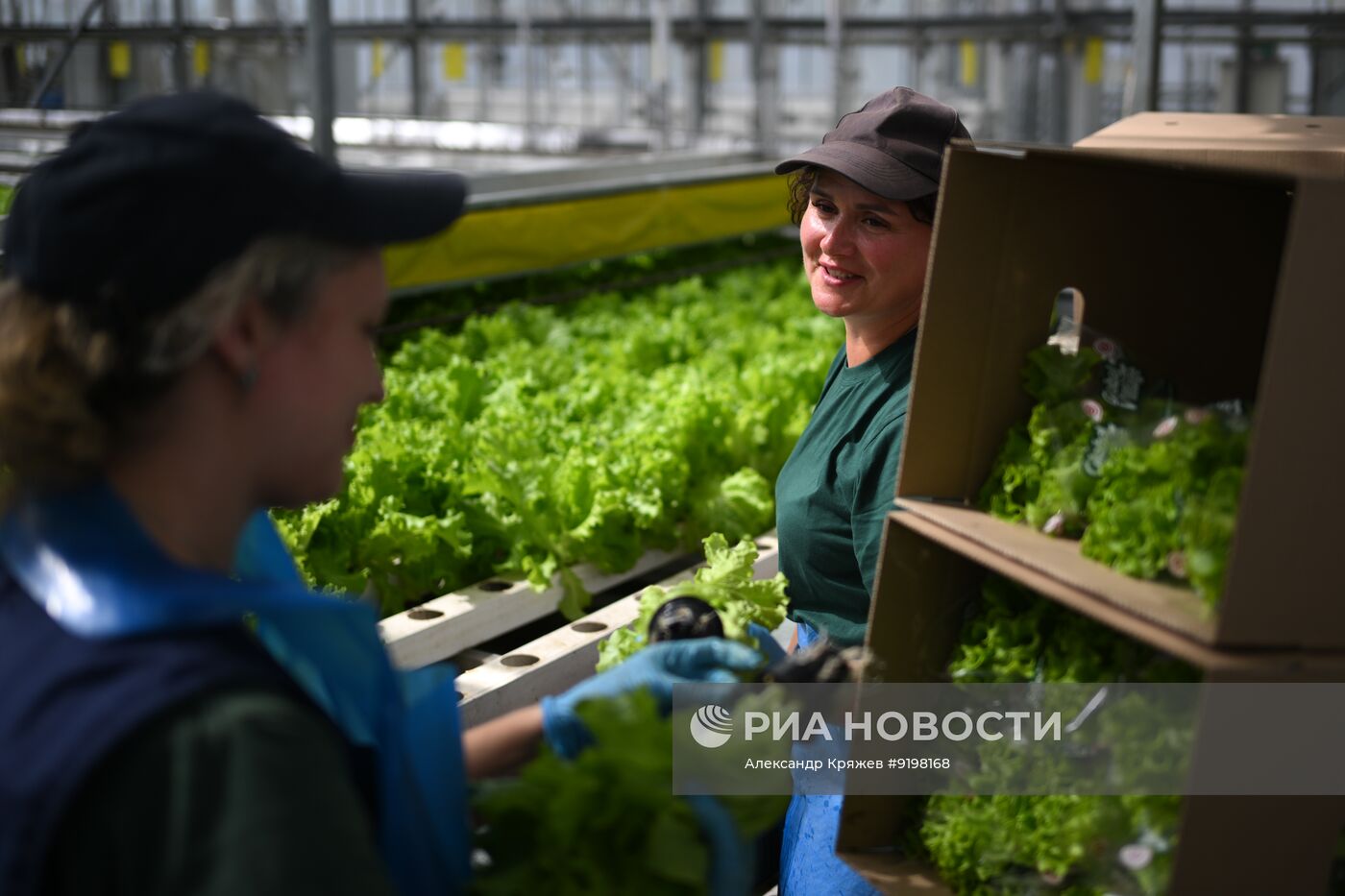 Работа агрокомплекса в Новосибирской области