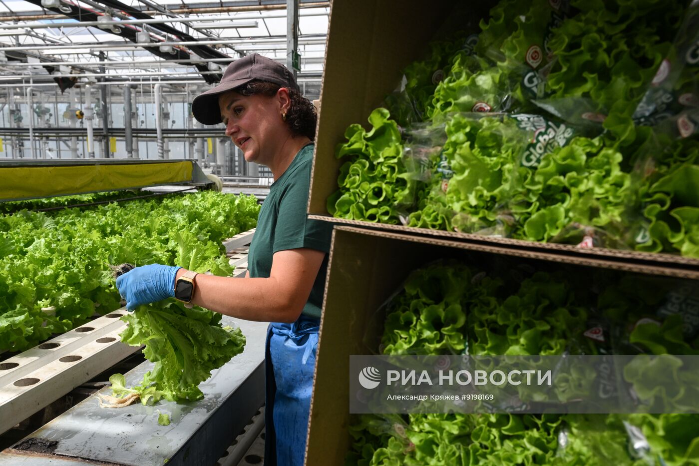 Работа агрокомплекса в Новосибирской области
